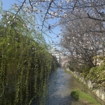 スタッフOの日記からたどる、春のはじまり。