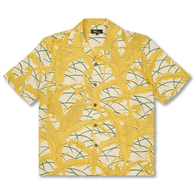 �a�� ���F�T�A���n�V���c ����冋o/���F��